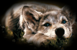 sticker_27998187_39095670