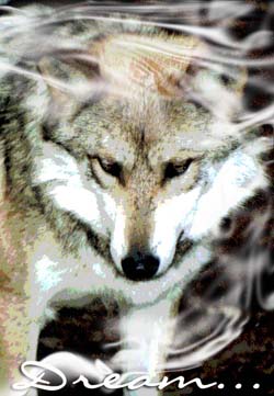 sticker_1528331_1887692