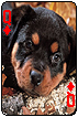 sticker_12602213_46577055