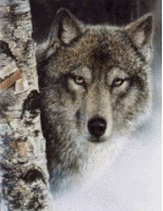 sticker_17655176_24018253