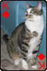 sticker_6195420_40328216