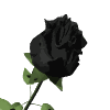 sticker_12070195_38400528