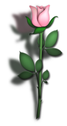 sticker_19898_47361725