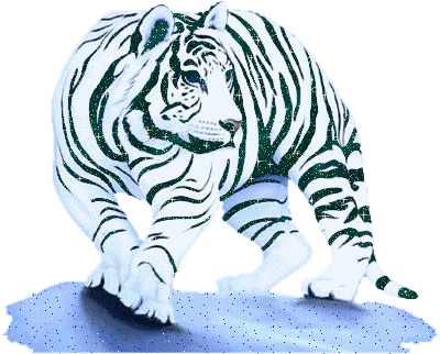 sticker_11549544_32420482