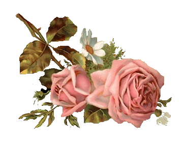 sticker_5374590_15648313