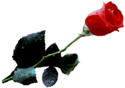 sticker_27569151_38443563