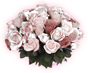 sticker_590162_11700227
