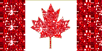 sticker_7383355_13493798