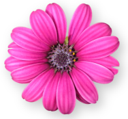 sticker_23883454_33543232