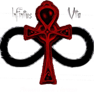 sticker_22467925_35684814