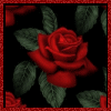 sticker_12344145_17914222