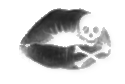 sticker_11046648_41019931