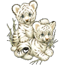 sticker_2788765_18912693