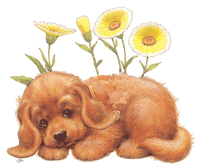 sticker_26535102_36930112