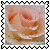 sticker_16908359_36236362