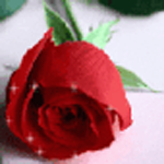 sticker_2260572_34774607