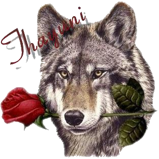 sticker_19241474_40048228