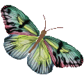 sticker_5418426_23177007