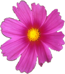 sticker_19316483_40393721