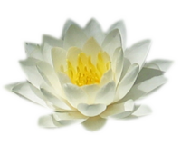 sticker_5412502_28272188