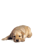 sticker_20692791_36692304
