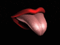 sticker_8220684_15080907
