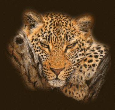 sticker_9239633_16803038