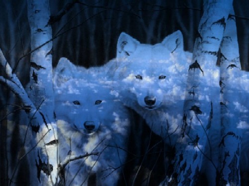 sticker_15509919_28600916