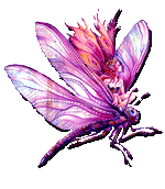 sticker_2420528_3573319