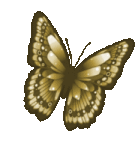 sticker_11927128_16494253