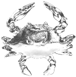 sticker_9824317_33971638