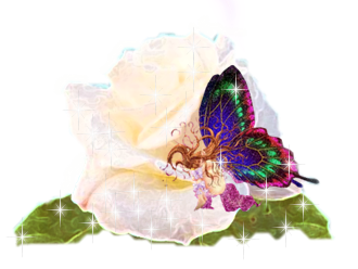 sticker_11544912_15624454