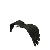 sticker_23052402_33125217