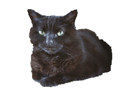 sticker_4252737_25355728
