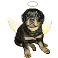 sticker_26482682_40027996