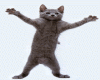 sticker_13392547_21450983