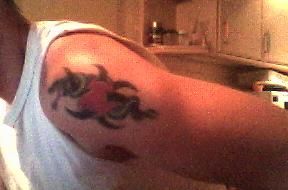 sticker_3780417_6299528