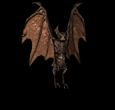 sticker_6573568_23268226