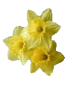 sticker_14158913_18742557
