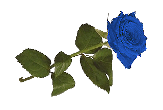 sticker_8432997_37431441