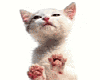 sticker_18918348_27782354