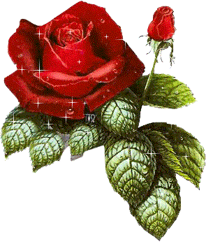 sticker_17584700_37810023