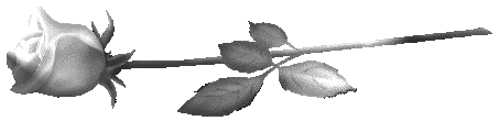 sticker_22795194_37330933