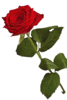 sticker_17952698_29043166