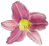 sticker_20960216_28856984