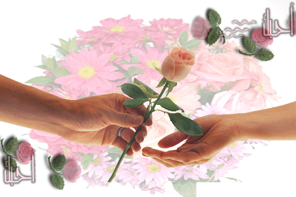 sticker_24951862_40463578