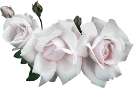 sticker_20545146_31281275