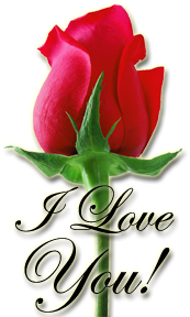sticker_7670534_30567700
