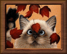 sticker_18477281_40781402
