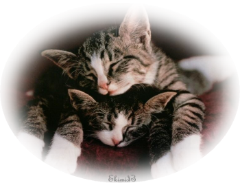 sticker_2173246_6226871